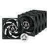 Вентилятор Arctic P8 PWM PST Black - 5 Pack (ACFAN00154A)