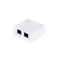 Розетка Atcom (60252) внешняя UTP cat 6 2хRJ45