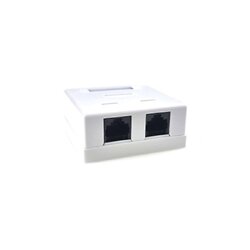 Розетка EServer (WT-2015A) 2хRJ-45, Cat5E, внешняя, белый