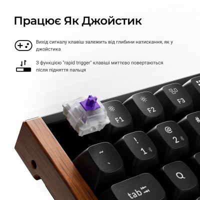 Беспроводная клавиатура Keychron K2 HE Magnetic Switch Black RGB (K2H-F1-UA)