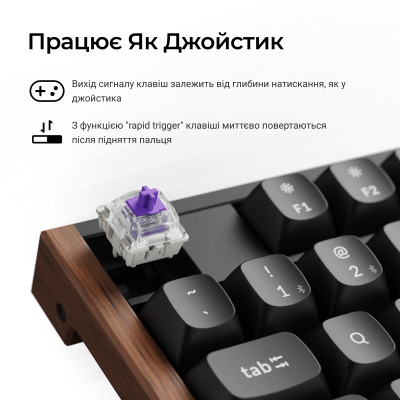 Беспроводная клавиатура Keychron K10 HE Magnetic Switch Black RGB (K10H-F1-UA)