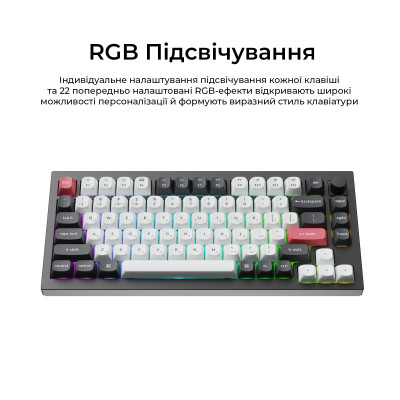 Беспроводная клавиатура Keychron Q1 HE Magnetic Switch Black RGB (Q1H-M1-UA)