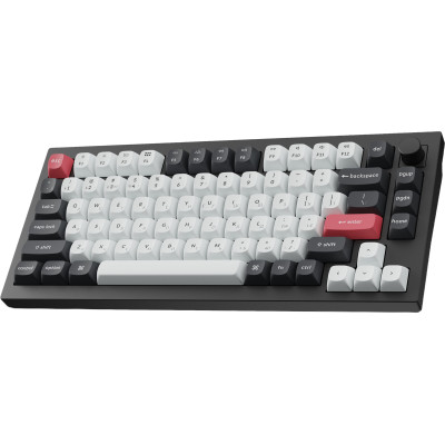 Беспроводная клавиатура Keychron Q1 HE Magnetic Switch Black RGB (Q1H-M1-UA)