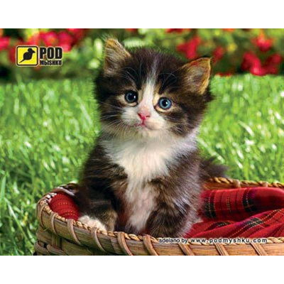 Коврик для мыши Podmyshku Котенок в корзине