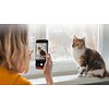 Карта памяти MicroSDXC 128GB UHS-I/U3 Class 10 Samsung Evo Plus R160MB/s + SD-адаптер (MB-MC128SA/EU)