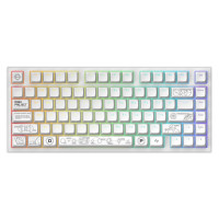 Клавиатура Dark Project ALU81 Terra Nova White (DPKB_NOVA_81_ANSI_WHITE_UA)