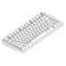 Клавиатура Dark Project ALU81 Terra Nova White (DPKB_NOVA_81_ANSI_WHITE_UA)