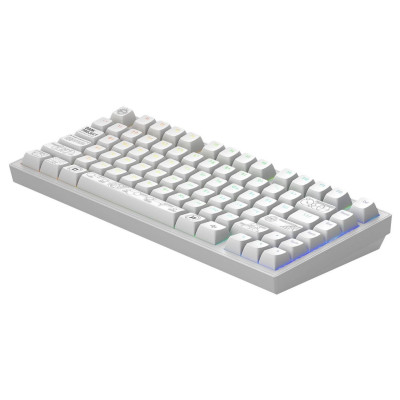 Клавиатура Dark Project ALU81 Terra Nova White (DPKB_NOVA_81_ANSI_WHITE_UA)