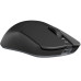 Беспроводная мышь Dark Project Novus Wireless Black/Grey (DPP_Novus_BG)