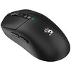 Беспроводная мышь A4Tech Bloody R72 Pro Duo Black