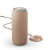 Акустична система Motorola Moto Sound Flow Warm Taupe (PG38C07850)