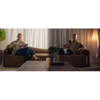 Акустична система Motorola Moto Sound Flow Warm Taupe (PG38C07850)