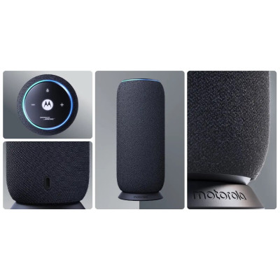 Акустична система Motorola Moto Sound Flow Carbon (PG38C07843)