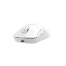 Беспроводная мышь Bloody SG5 White Беспроводная мышь Bloody SG5 White