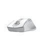 Беспроводная мышь A4Tech Fstyler FG55S Plus White