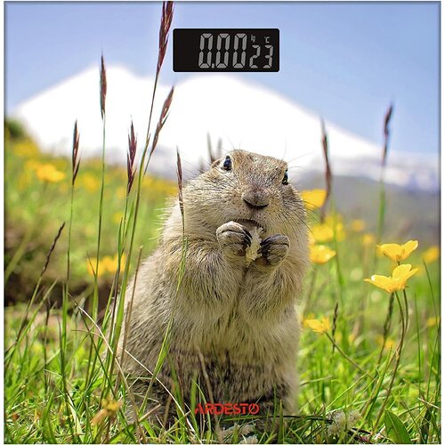 Ваги ARDESTO підлогові Marmot, 150кг, AAAx2 в комплекті, скло, багатокольорові