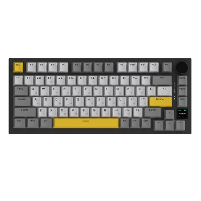 Беспроводная клавиатура Ajazz AK820 Pro Flying Fish Switch Black RGB With Screen (AK820PRO-FF-BGY)