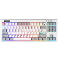 Беспроводная клавиатура 1stPlayer NEO87 Wireless Frostwave (NEO87-FW-TLD) Беспроводная клавиатура 1stPlayer NEO87 Wireless Frostwave (NEO87-FW-TLD)