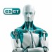 Антивирус Eset PROTECT Essential с локал. упр. 43 ПК на 3year Business (EPESL_43_3_B)