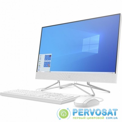 Компьютер HP 24-df0056ur AiO / Pentium Silver J5040 (1D9X5EA)
