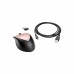 Мышка HP ENVY Rechargeable 500 Wireless Silver/Black (2LX92AA)