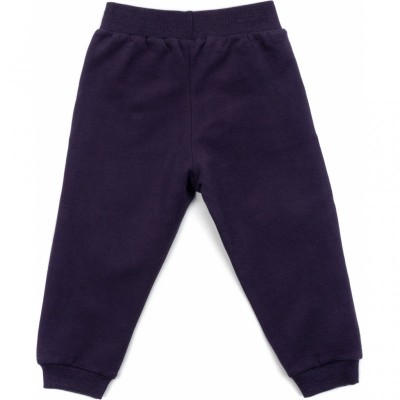 Набір дитячого одягу Breeze з ведмедиками (16102-110G-purple)