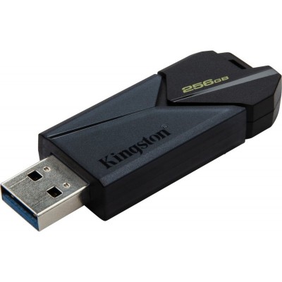 Накопичувач Kingston 256GB USB 3.2 Type-A Gen1 DT Exodia Onyx