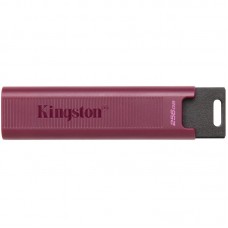 Накопичувач Kingston  256GB USB 3.2 Type-A Gen 2 DT Max