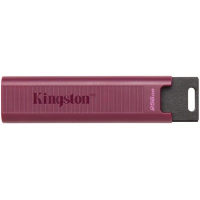 Накопичувач Kingston 256GB USB 3.2 Gen 2 DT Max Type-A