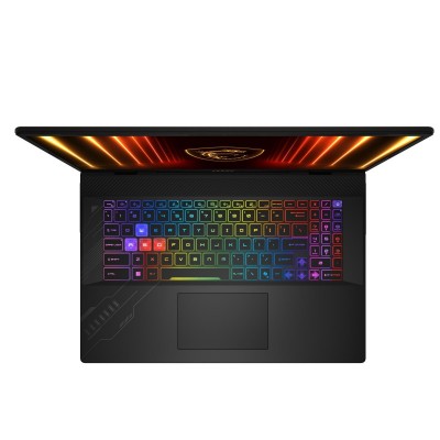 Ноутбук MSI Crosshair A17 HX D8WFKG-023XUA 17" QHD+, AMD R9-8940HX, 32GB, F1TB, NVD5060-8, DOS, чорний