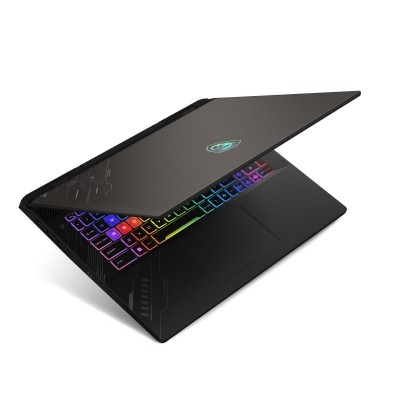 Ноутбук MSI Crosshair A17 HX D8WFKG-023XUA 17" QHD+, AMD R9-8940HX, 32GB, F1TB, NVD5060-8, DOS, чорний