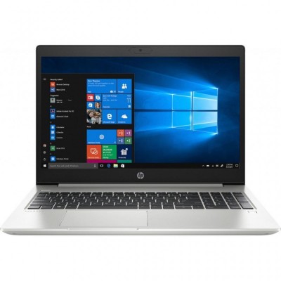 Ноутбук HP ProBook 450 G7 (6YY19AV_V12)