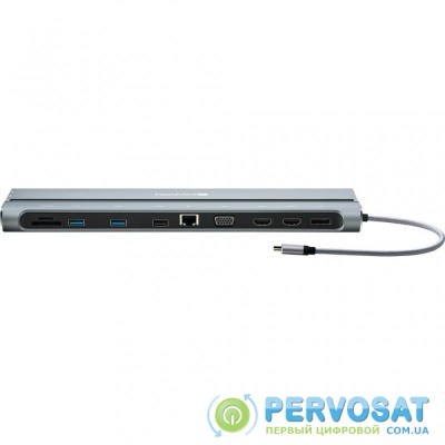 Концентратор Canyon Multiport Docking Station with 14 ports (CNS-HDS09B)