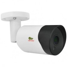 Камера відеоспостереження Partizan IPO-5SP Starlight v1.0 Cloud (82820)