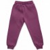 Штаны детские Cloise спортивные на флисе (CL0154012-140G-purple)