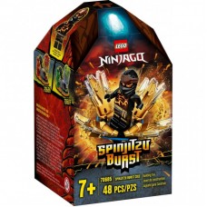 Конструктор LEGO Ninjago Шквал Спінджицу — Коул (70685) Конструктор LEGO Ninjago Шквал Спінджицу — Коул (70685)