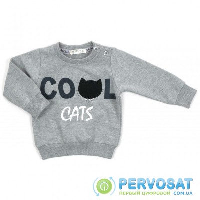 Спортивный костюм Breeze "COOL CATS" (14841-98B-gray)