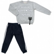 Набір дитячого одягу Breeze "FRIENDSHIP" (14775-122B-gray) Набір дитячого одягу Breeze "FRIENDSHIP" (14775-122B-gray)