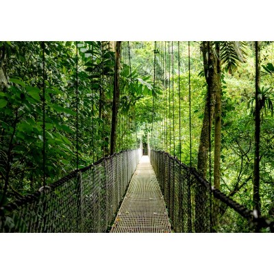 Ноутбук HP Probook 4-G1a 16" WUXGA IPS, AMD R7-250, 16GB, F512GB, UMA, DOS, сріблястий Ноутбук HP Probook 4-G1a 16" WUXGA IPS, AMD R7-250, 16GB, F512GB, UMA, DOS, сріблястий