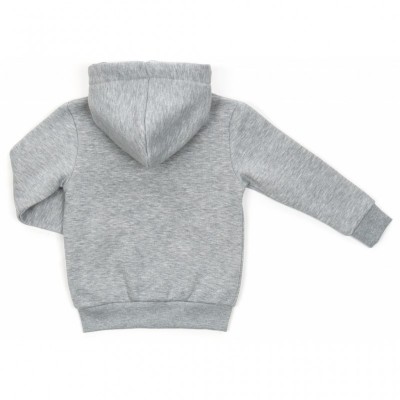 Кофта Cloise толстовка на флисе (CL0125001-128-gray)