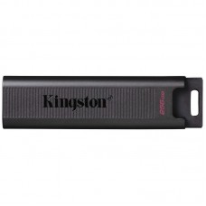 Накопичувач Kingston 256GB USB-C 3.2 Gen 1 DT Max