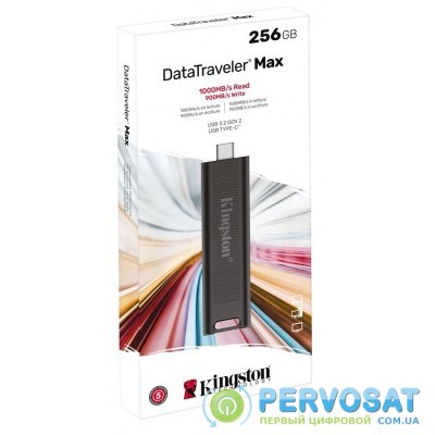 Накопичувач Kingston 256GB USB-C 3.2 Gen 1 DT Max