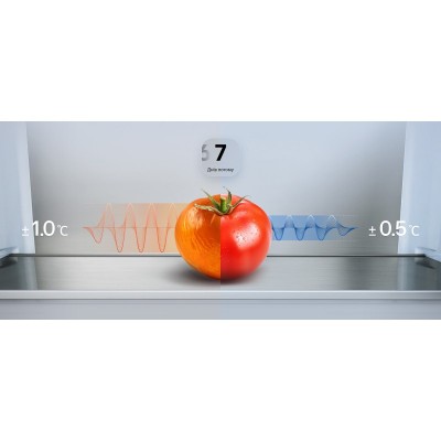 Холодильник LG з нижн. мороз., 203x60х68, холод.відд.-262л, мороз.відд.-113л, 2дв., E, NF, інв., диспл зовн., Fresh Сonverter, Metal Fresh, сріблястий