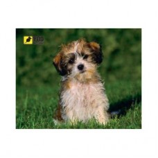 Килимок для мишки Pod Mishkou Лохматый щенок Килимок для мишки Pod Mishkou Лохматый щенок