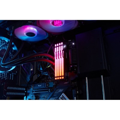 Пам'ять ПК Kingston DDR5   8GB 5200 FURY  Beast  RGB