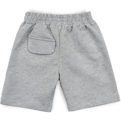 Набір дитячого одягу Breeze з тигренятком (10264-98B-gray)