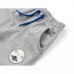 Набір дитячого одягу Breeze з тигренятком (10264-98B-gray)