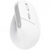 Миша Trust Bayo II Ergonomic, WL, білий
