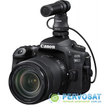 Canon DM-E100