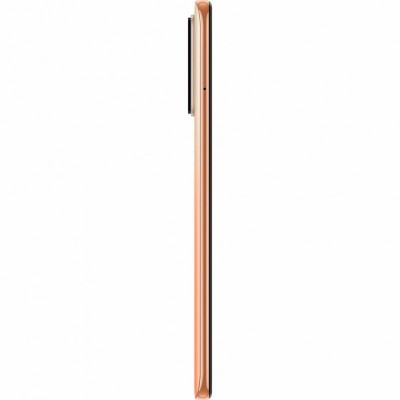 Мобильный телефон Xiaomi Redmi Note 10 Pro 6/128GB Bronze